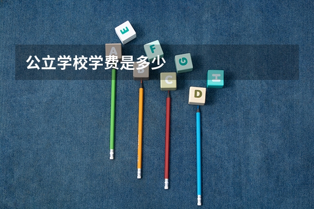 公立学校学费是多少
