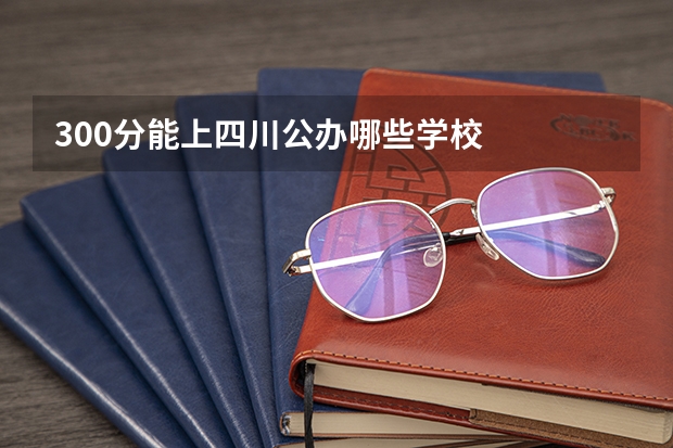 300分能上四川公办哪些学校