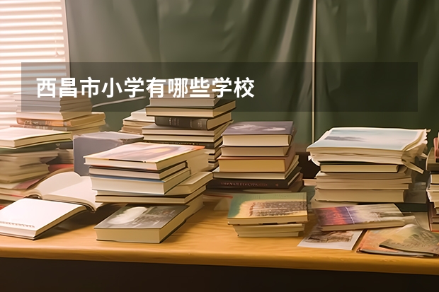西昌市小学有哪些学校