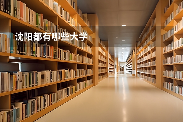 沈阳都有哪些大学.