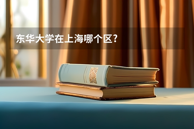 东华大学在上海哪个区?