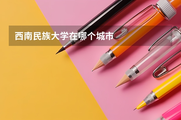西南民族大学在哪个城市