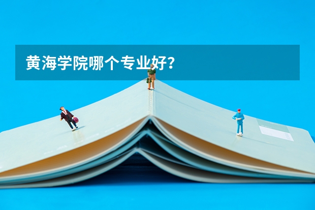 黄海学院哪个专业好？