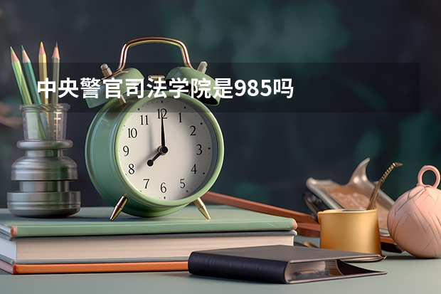 中央警官司法学院是985吗