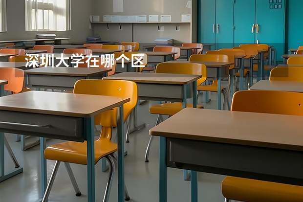 深圳大学在哪个区