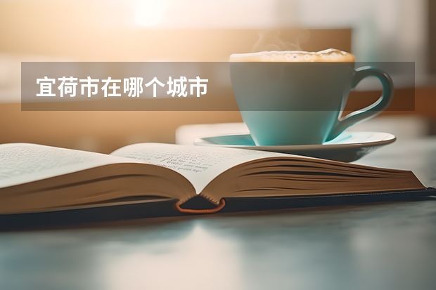宜荷市在哪个城市
