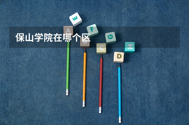 保山学院在哪个区