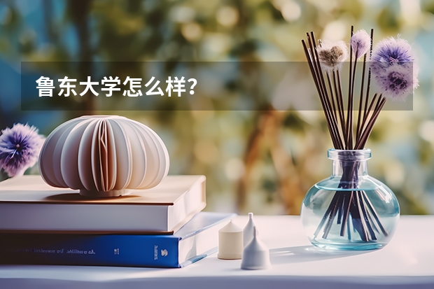 鲁东大学怎么样？