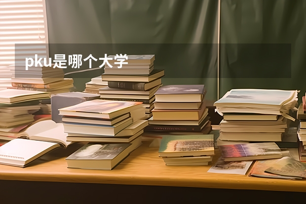 pku是哪个大学