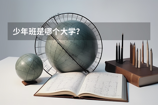 少年班是哪个大学？