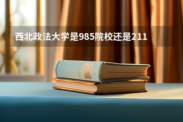 西北政法大学是985院校还是211院校？（西北政法大学是211还是985）