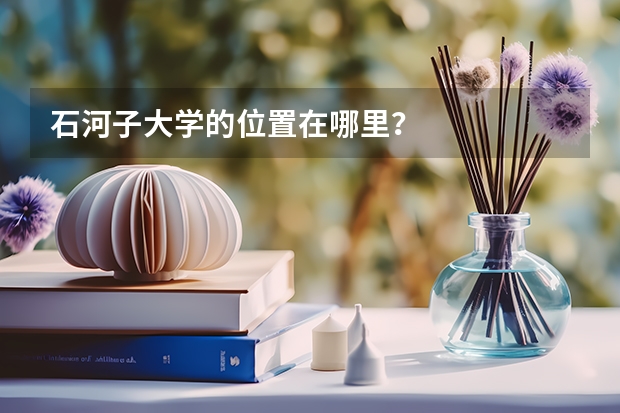 石河子大学的位置在哪里？