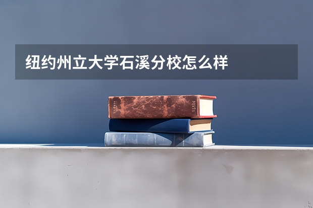 纽约州立大学石溪分校怎么样