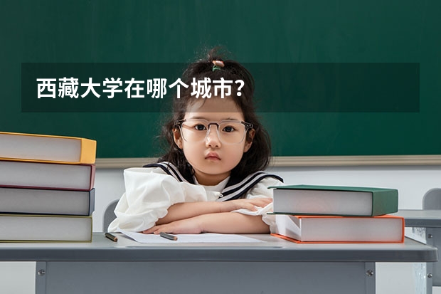 西藏大学在哪个城市？