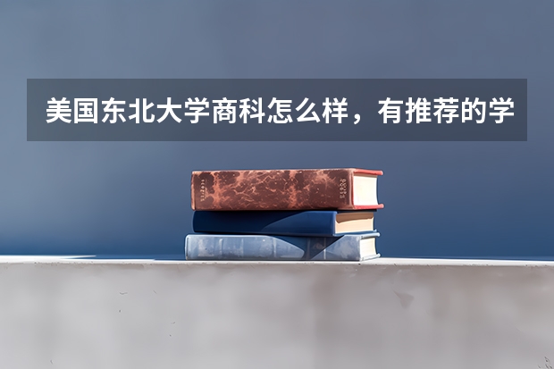美国东北大学商科怎么样，有推荐的学科吗