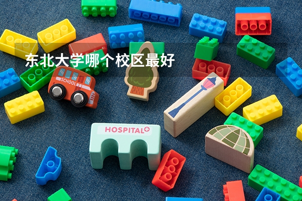 东北大学哪个校区最好