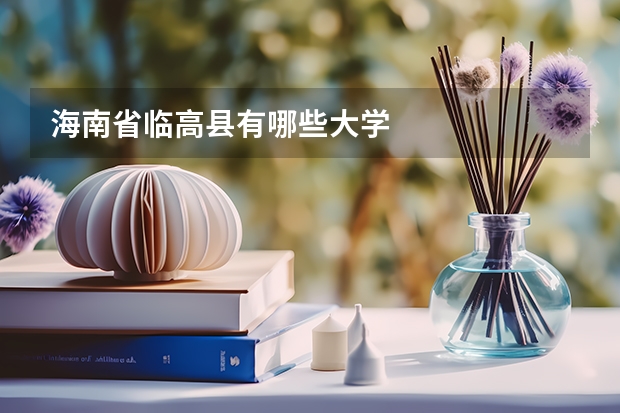 海南省临高县有哪些大学