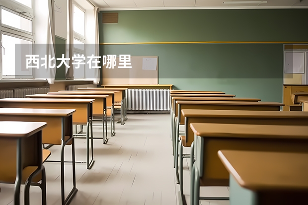 西北大学在哪里