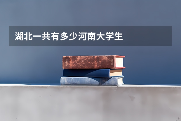 湖北一共有多少河南大学生