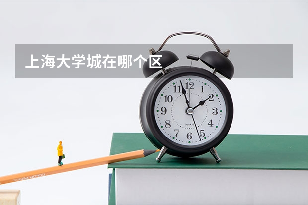 上海大学城在哪个区