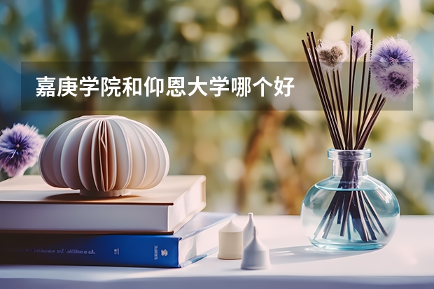 嘉庚学院和仰恩大学哪个好
