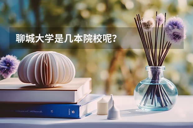 聊城大学是几本院校呢？
