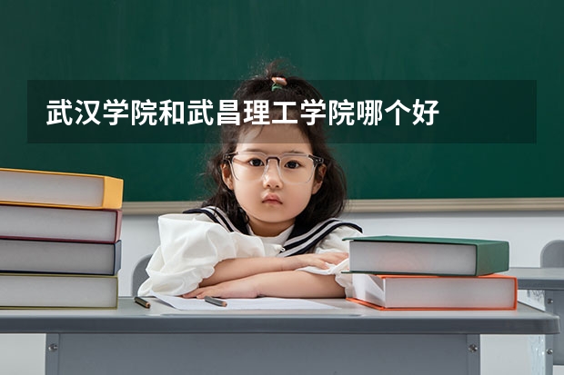 武汉学院和武昌理工学院哪个好
