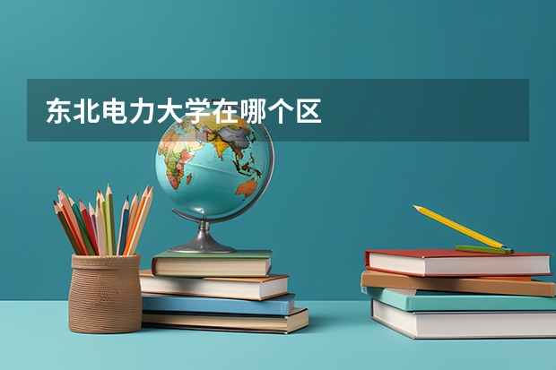 东北电力大学在哪个区