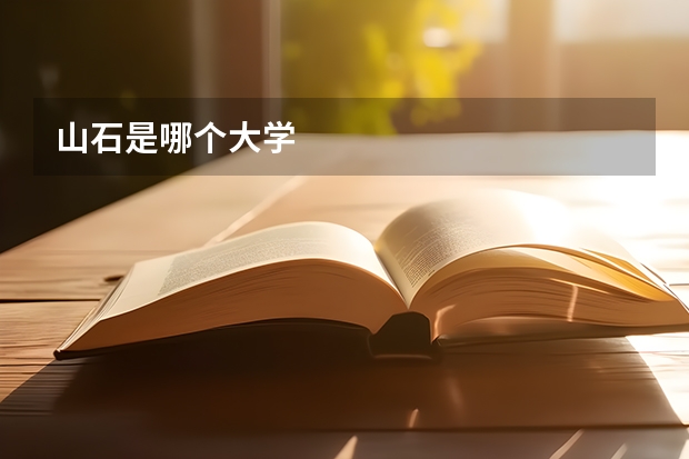 山石是哪个大学