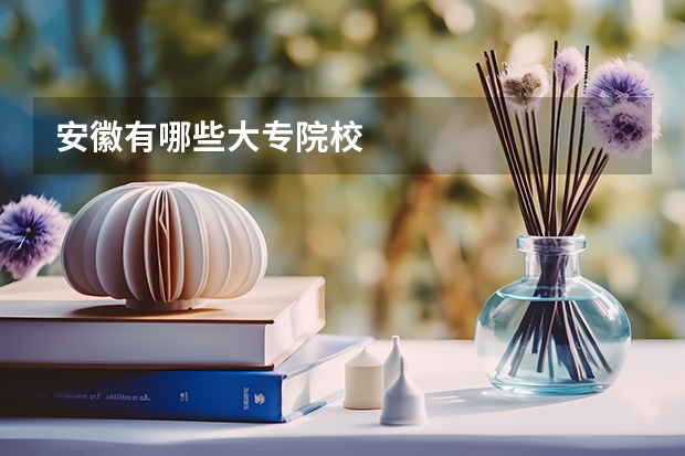 安徽有哪些大专院校
