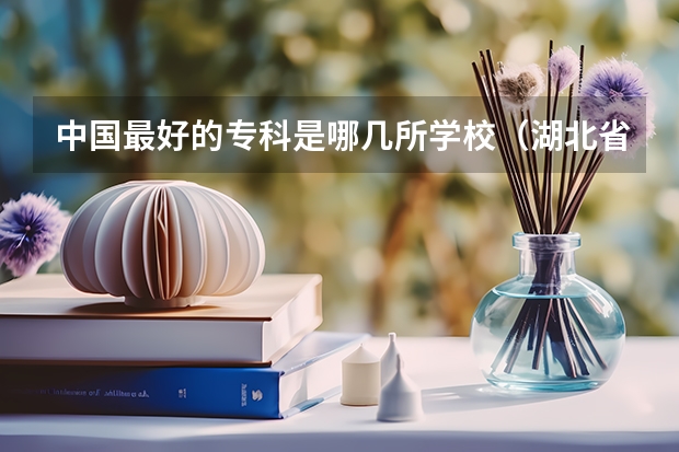 中国最好的专科是哪几所学校（湖北省大专院校排名最新）