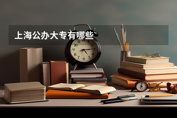 上海公办大专有哪些