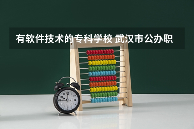 有软件技术的专科学校 武汉市公办职高排名一览表