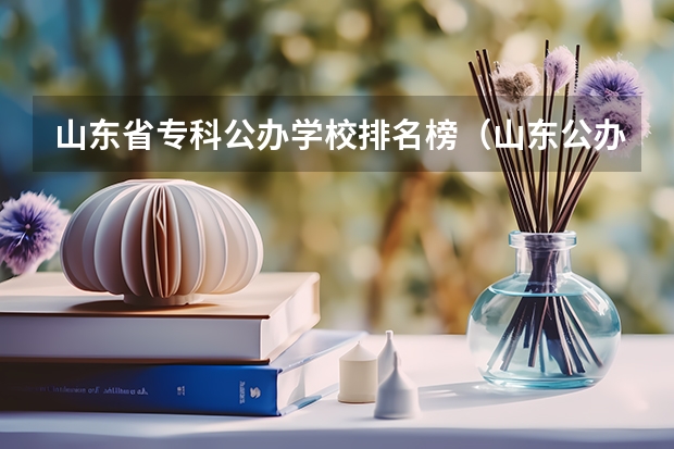 山东省专科公办学校排名榜（山东公办职业学校排名）