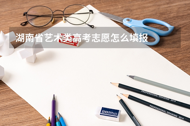 湖南省艺术类高考志愿怎么填报
