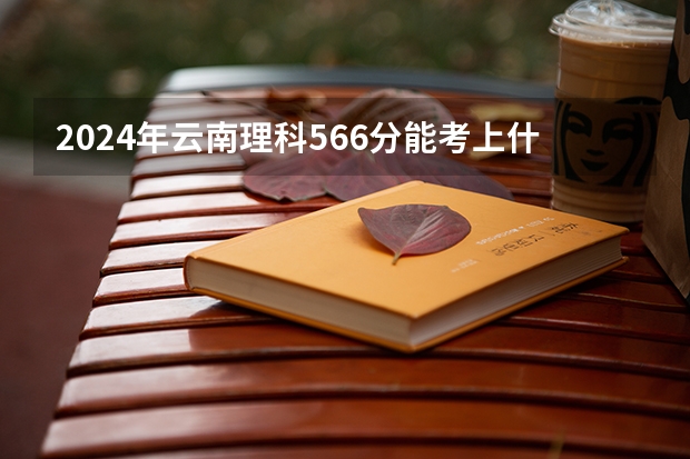 2024年云南理科566分能考上什么大学?