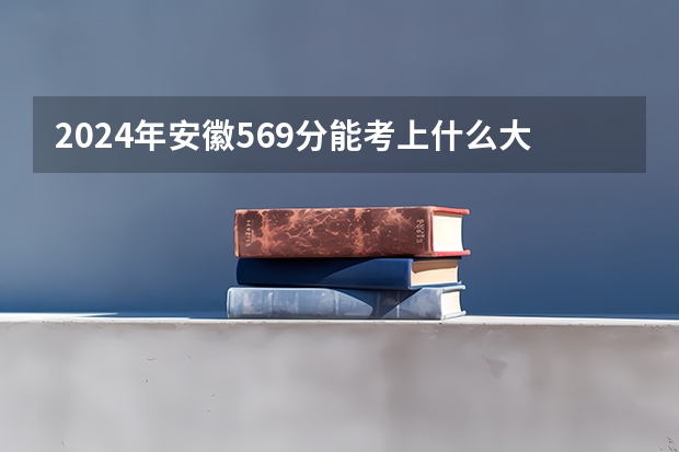 2024年安徽569分能考上什么大学？