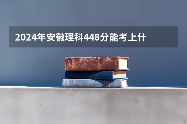 2024年安徽理科448分能考上什么大学？