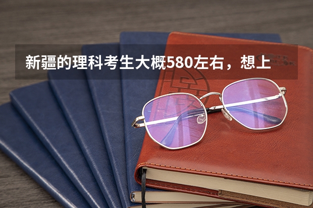 新疆的理科考生大概580左右，想上金融类的，能怎么报？
