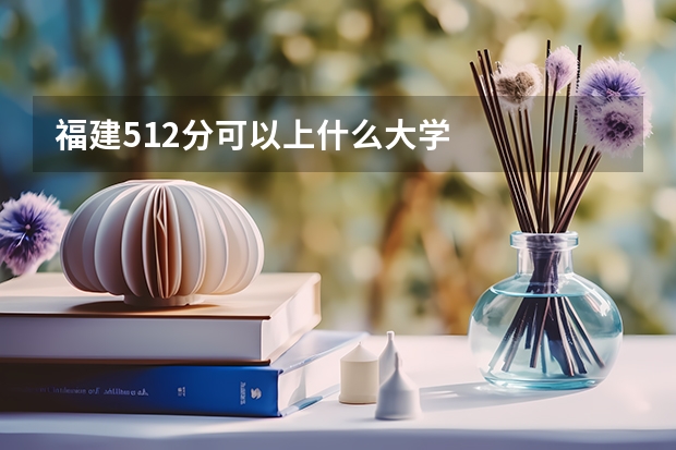福建512分可以上什么大学