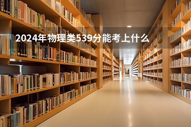 2024年物理类539分能考上什么大学？