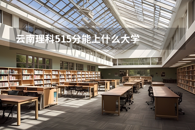 云南理科515分能上什么大学
