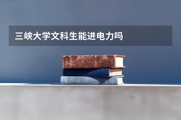三峡大学文科生能进电力吗