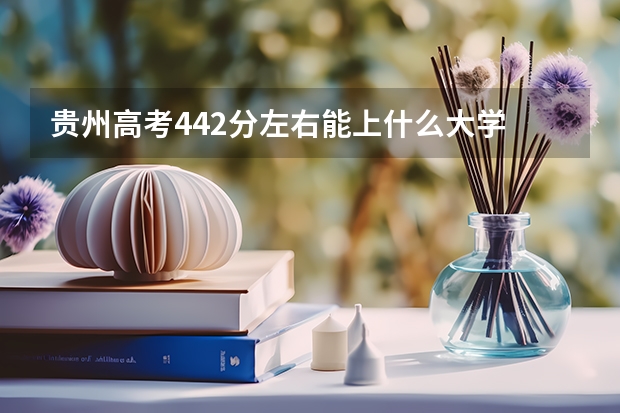 贵州高考442分左右能上什么大学