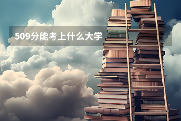 509分能考上什么大学