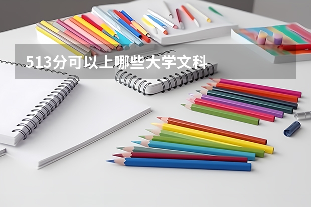 513分可以上哪些大学文科