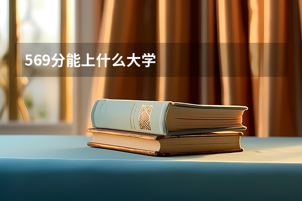 569分能上什么大学