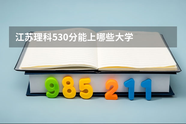 江苏理科530分能上哪些大学