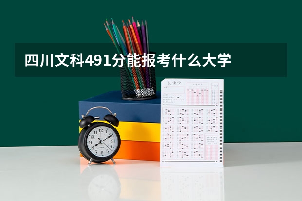 四川文科491分能报考什么大学