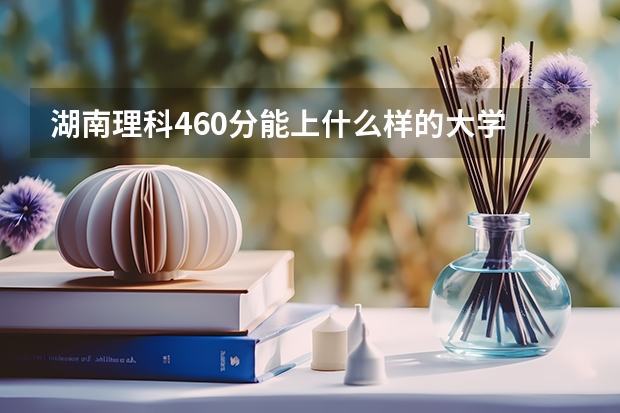 湖南理科460分能上什么样的大学